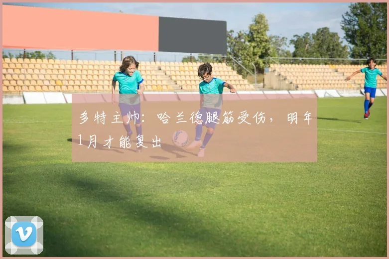 多特主帅：哈兰德腿筋受伤，明年1月才能复出