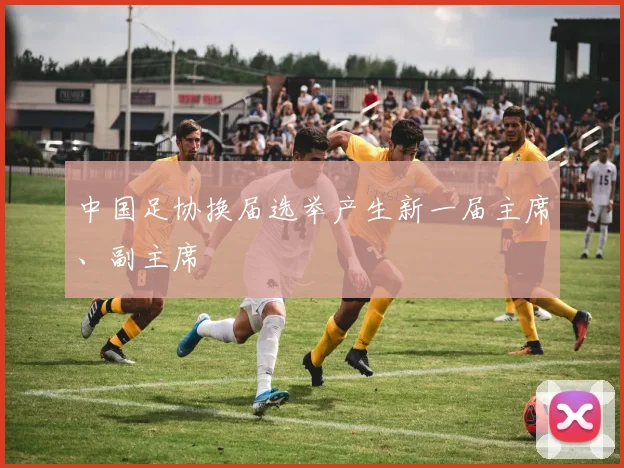 中国足协换届选举产生新一届主席、副主席